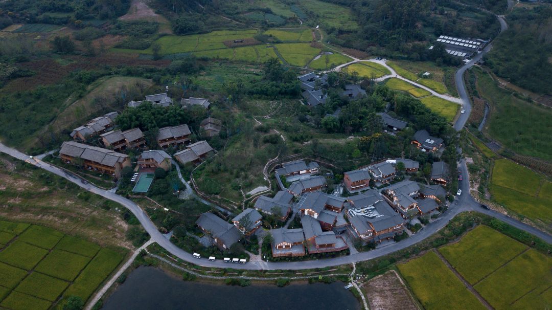 1658471934423483.jpg DJI_0239.jpg