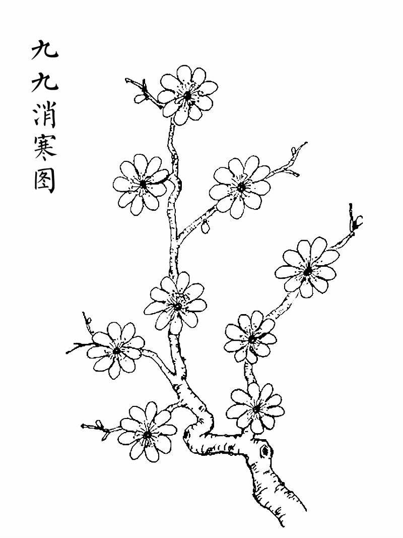 消寒圖梅花國畫簡筆輪廓.jpg